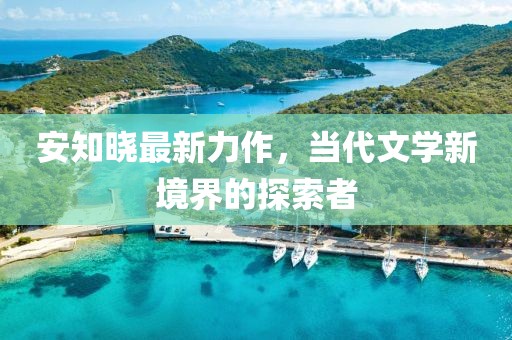 安知晓最新力作，当代文学新境界的探索者