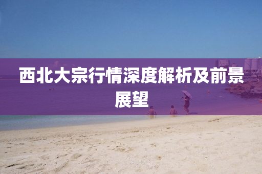西北大宗行情深度解析及前景展望