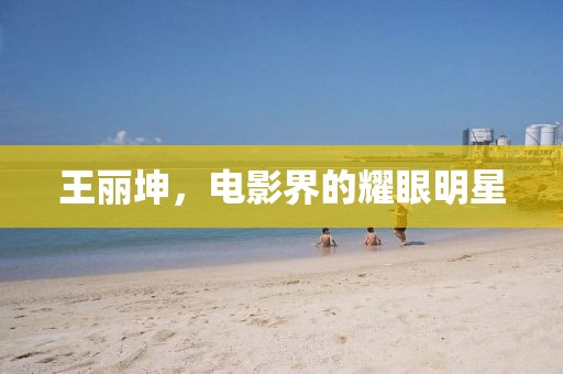 王丽坤，电影界的耀眼明星