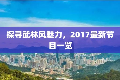 探寻武林风魅力，2017最新节目一览