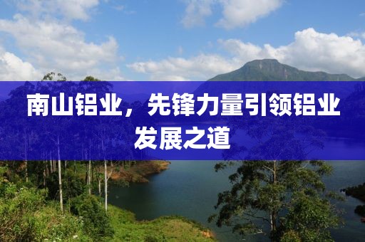 南山铝业，先锋力量引领铝业发展之道
