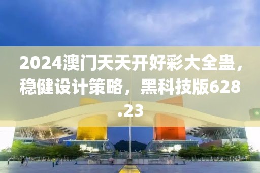2024澳门天天开好彩大全蛊，稳健设计策略，黑科技版628.23