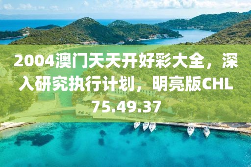 2004澳门天天开好彩大全，深入研究执行计划，明亮版CHL75.49.37