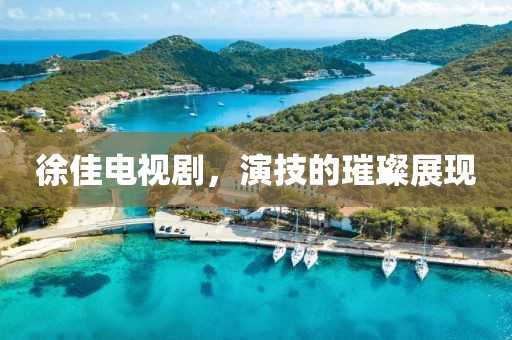 徐佳电视剧，演技的璀璨展现