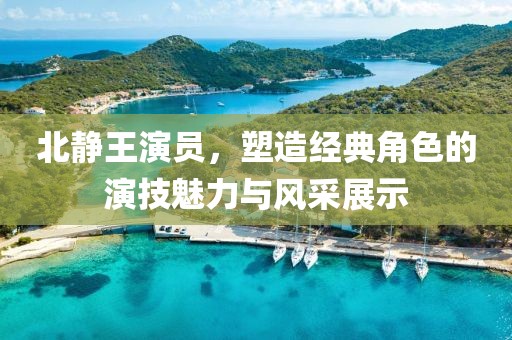 北静王演员，塑造经典角色的演技魅力与风采展示