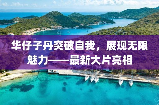 华仔子丹突破自我，展现无限魅力——最新大片亮相