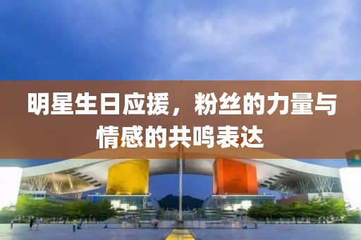 明星生日应援，粉丝的力量与情感的共鸣表达