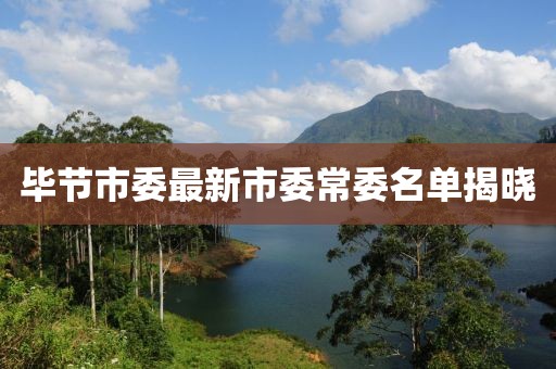 毕节市委最新市委常委名单揭晓