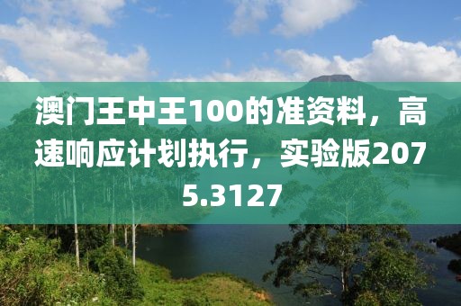 澳门王中王100的准资料，高速响应计划执行，实验版2075.3127