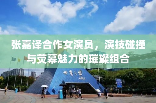 张嘉译合作女演员，演技碰撞与荧幕魅力的璀璨组合