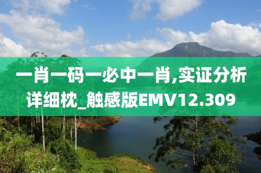 一肖一码一必中一肖,实证分析详细枕_触感版EMV12.309