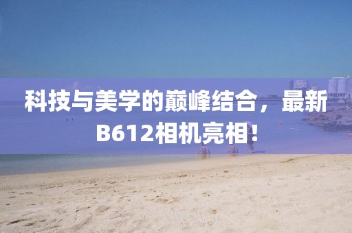 科技与美学的巅峰结合，最新B612相机亮相！