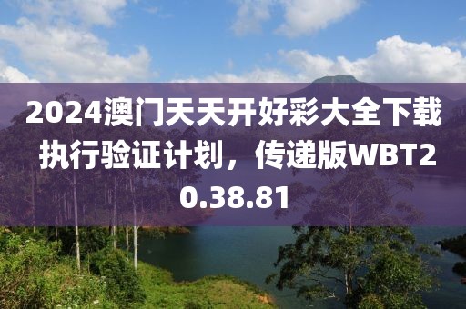 2024澳门天天开好彩大全下载 执行验证计划，传递版WBT20.38.81