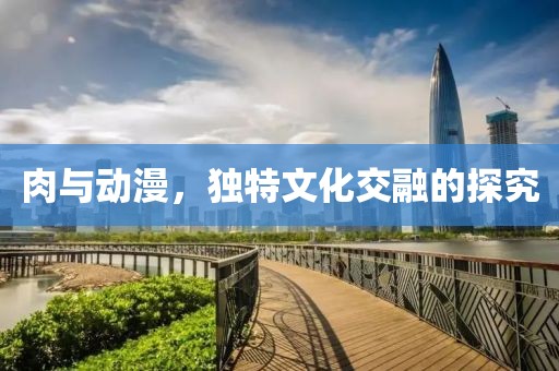 肉与动漫，独特文化交融的探究
