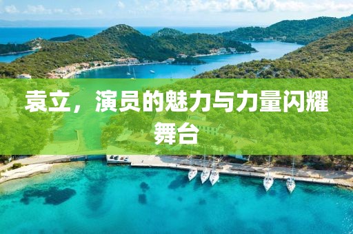 袁立，演员的魅力与力量闪耀舞台