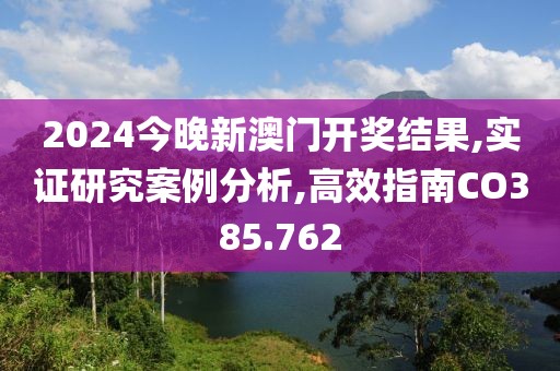 2024今晚新澳门开奖结果,实证研究案例分析,高效指南CO385.762