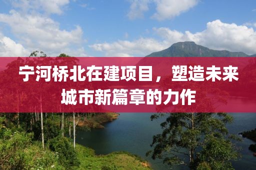 宁河桥北在建项目，塑造未来城市新篇章的力作