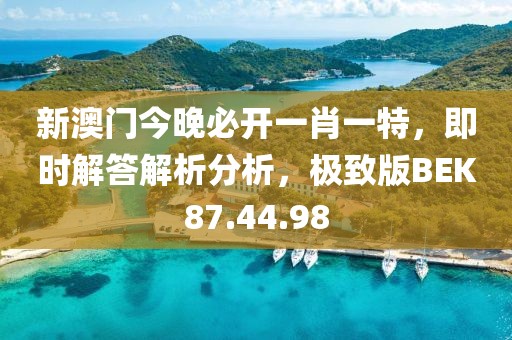 新澳门今晚必开一肖一特，即时解答解析分析，极致版BEK87.44.98