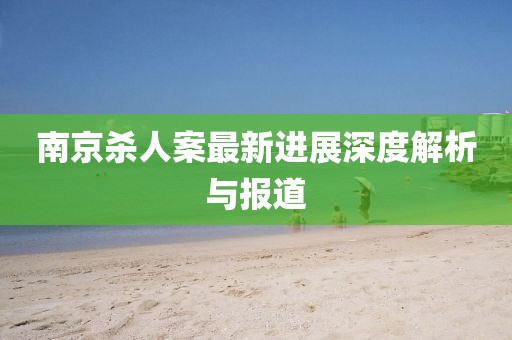 南京杀人案最新进展深度解析与报道