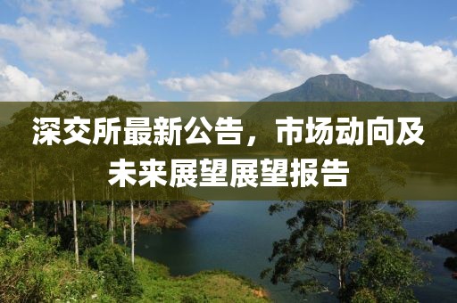 深交所最新公告，市场动向及未来展望展望报告