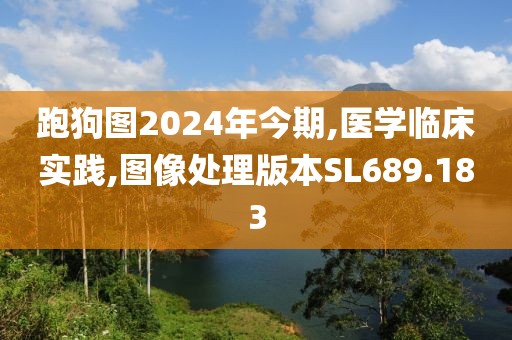 跑狗图2024年今期,医学临床实践,图像处理版本SL689.183