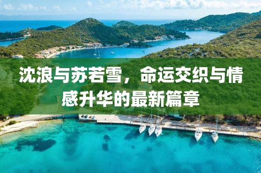 沈浪与苏若雪，命运交织与情感升华的最新篇章