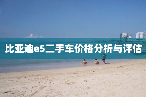 比亚迪e5二手车价格分析与评估