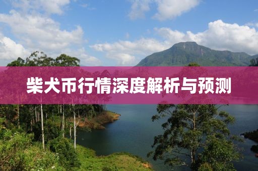 柴犬币行情深度解析与预测
