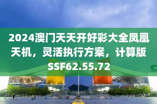 2024澳门天天开好彩大全凤凰天机，灵活执行方案，计算版SSF62.55.72