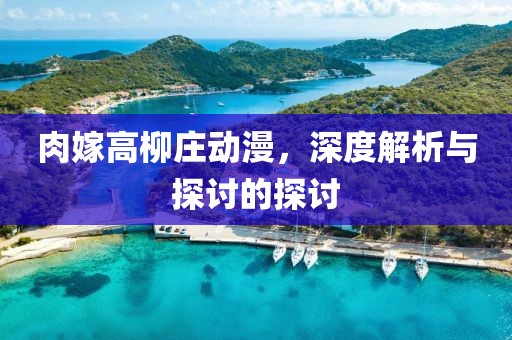 肉嫁高柳庄动漫，深度解析与探讨的探讨