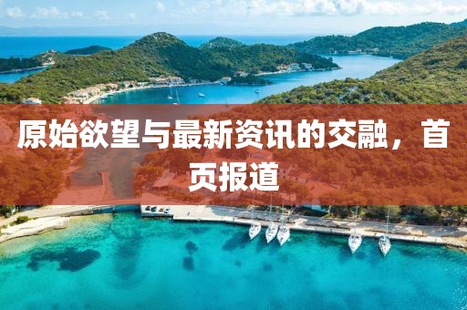 原始欲望与最新资讯的交融，首页报道