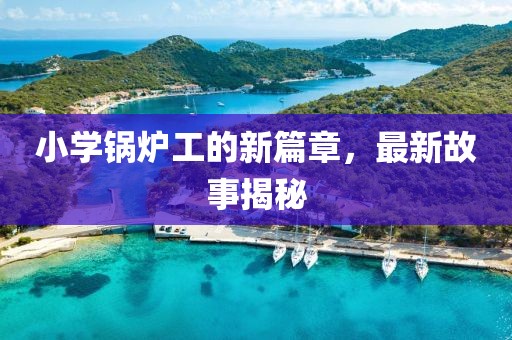 小学锅炉工的新篇章，最新故事揭秘