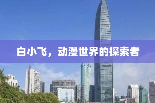 白小飞，动漫世界的探索者