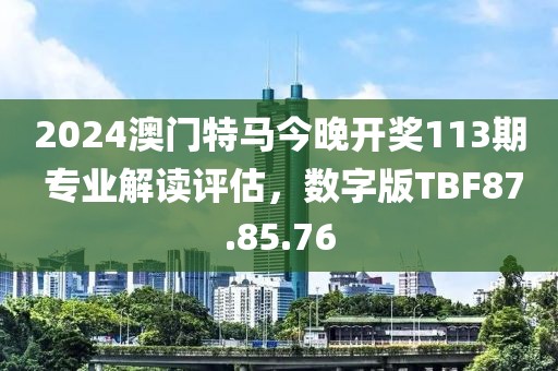 2024澳门特马今晚开奖113期 专业解读评估，数字版TBF87.85.76