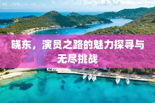 晓东，演员之路的魅力探寻与无尽挑战