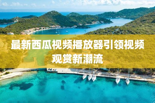 最新西瓜视频播放器引领视频观赏新潮流