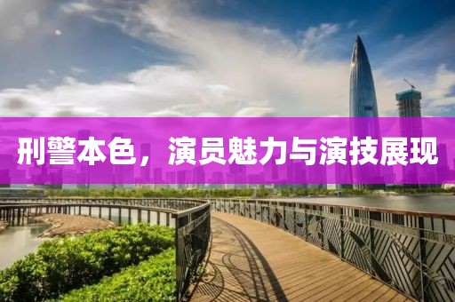 刑警本色，演员魅力与演技展现