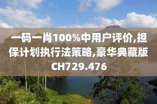 一码一肖100%中用户评价,担保计划执行法策略,豪华典藏版CH729.476