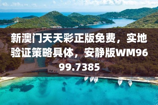 新澳门天天彩正版免费，实地验证策略具体，安静版WM9699.7385