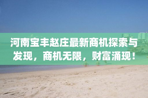 河南宝丰赵庄最新商机探索与发现，商机无限，财富涌现！