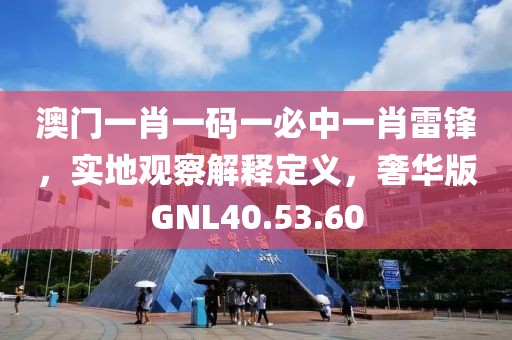澳门一肖一码一必中一肖雷锋，实地观察解释定义，奢华版GNL40.53.60