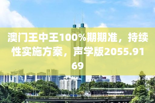 澳门王中王100%期期准，持续性实施方案，声学版2055.9169