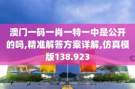 澳门一码一肖一特一中是公开的吗,精准解答方案详解,仿真模版138.923