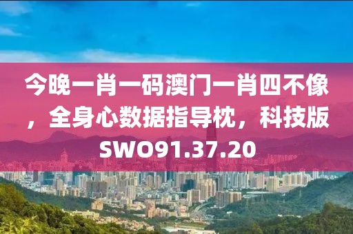 今晚一肖一码澳门一肖四不像，全身心数据指导枕，科技版SWO91.37.20
