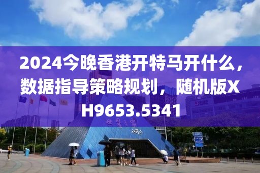 2024今晚香港开特马开什么，数据指导策略规划，随机版XH9653.5341