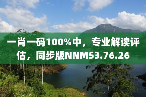 一肖一码100%中，专业解读评估，同步版NNM53.76.26