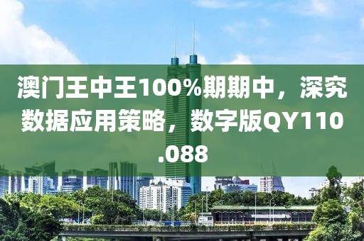 澳门王中王100%期期中，深究数据应用策略，数字版QY110.088