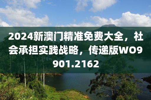 2024新澳门精准免费大全，社会承担实践战略，传递版WO9901.2162