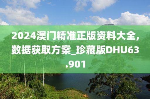 2024澳门精准正版资料大全,数据获取方案_珍藏版DHU63.901
