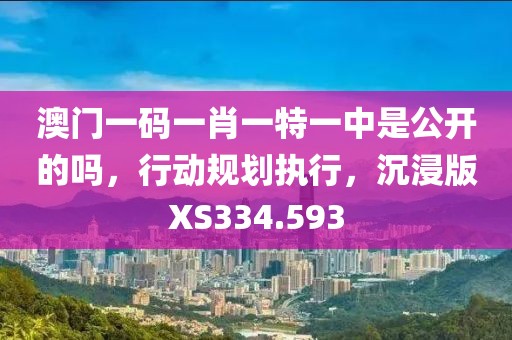 澳门一码一肖一特一中是公开的吗，行动规划执行，沉浸版XS334.593
